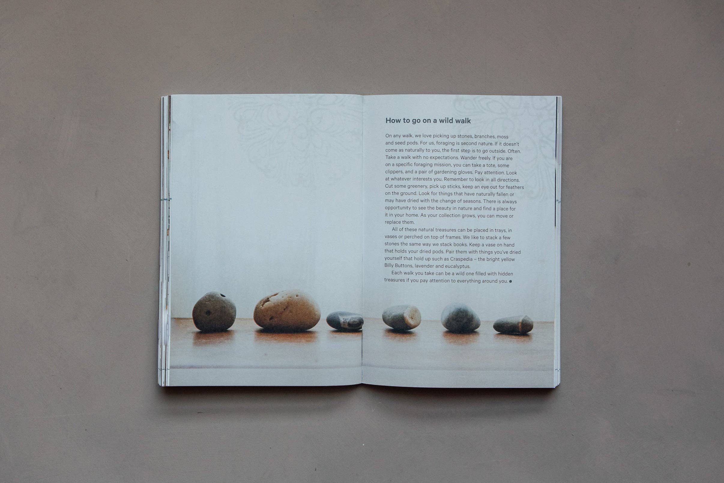 Do Inhabit, Interior Design Guide Inspired by Nature: Paperback
