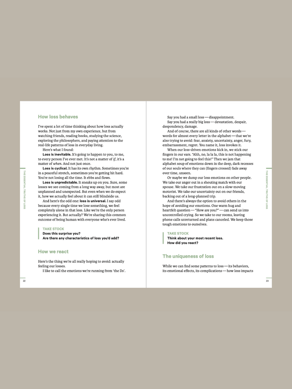 Do Loss, Guide to Navigating Change: Paperback