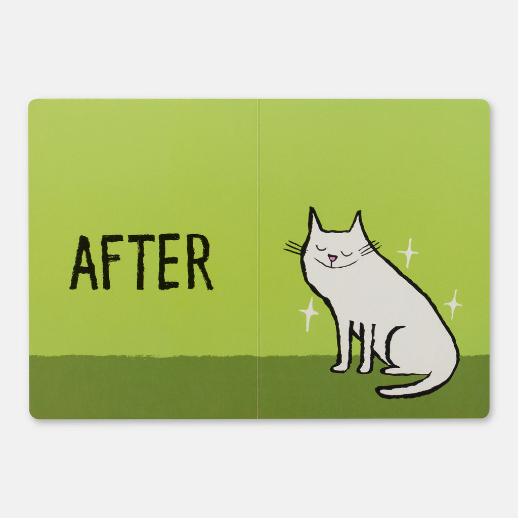BEFORE & AFTER - JEAN JULLIEN