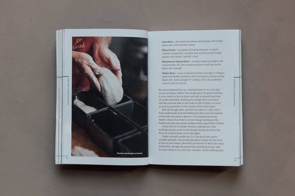 Do Sourdough, Popular Guide to Baking Sourdough: Paperback