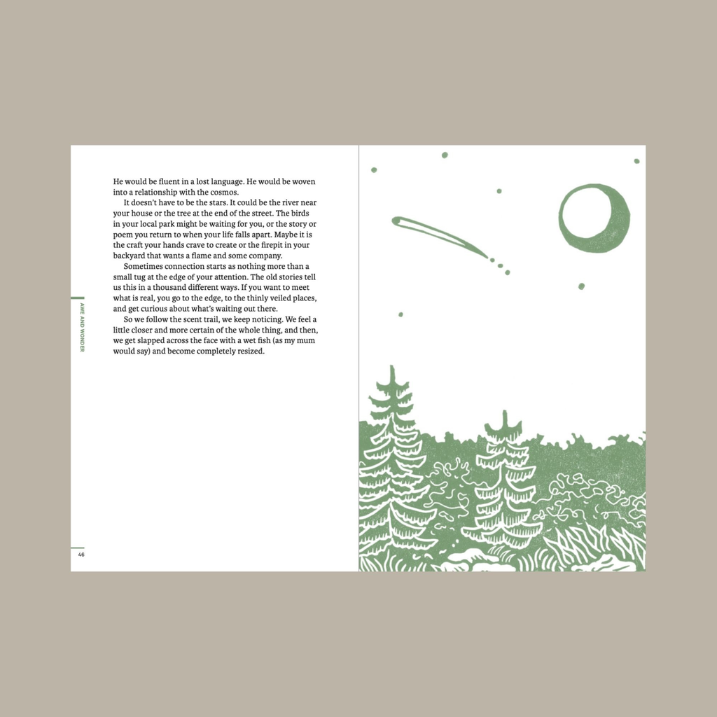 Do Wildness, Guide to Connecting with the Natural World: Paperback