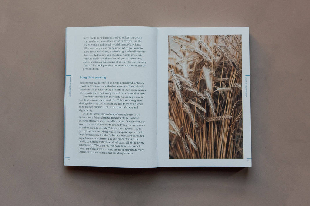 Do Sourdough, Popular Guide to Baking Sourdough: Paperback