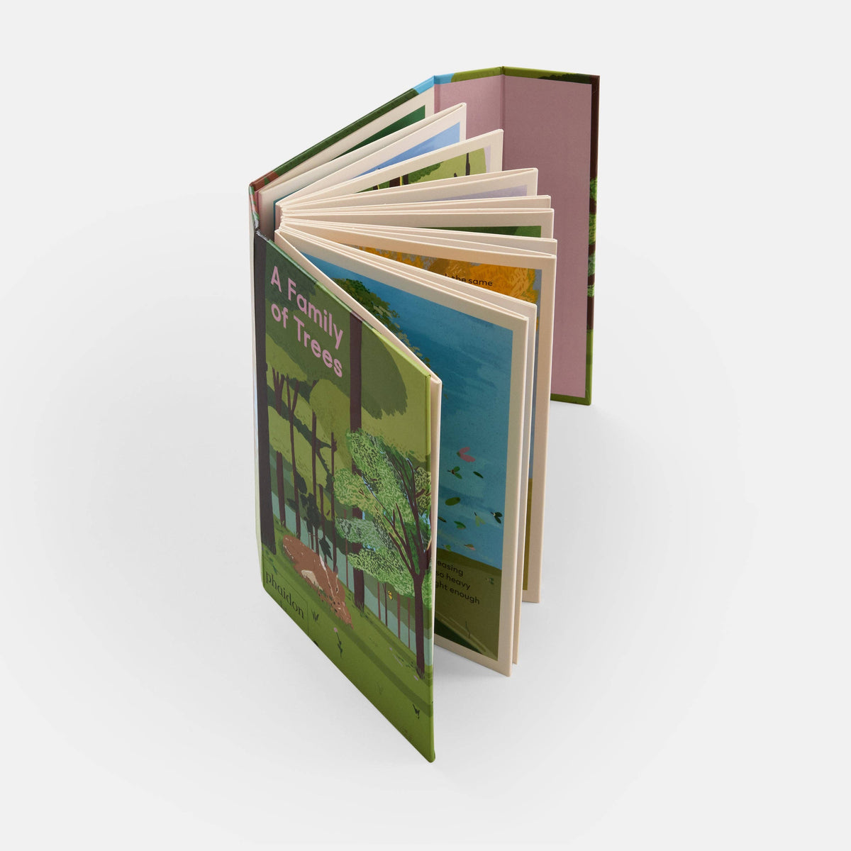 A Family of Trees: My First Book of Forests