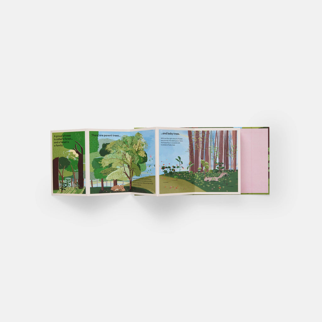 A Family of Trees: My First Book of Forests