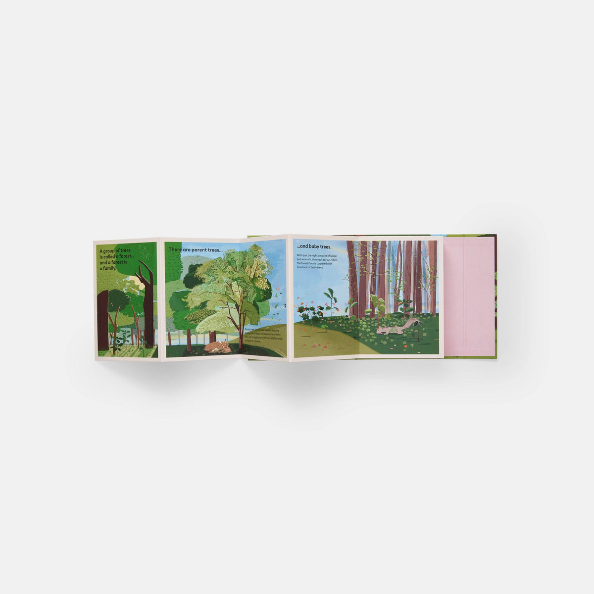 A Family of Trees: My First Book of Forests