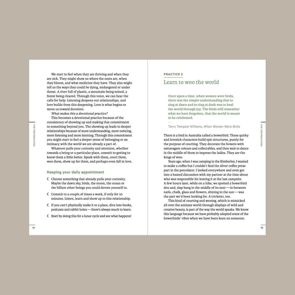 Do Wildness, Guide to Connecting with the Natural World: Paperback