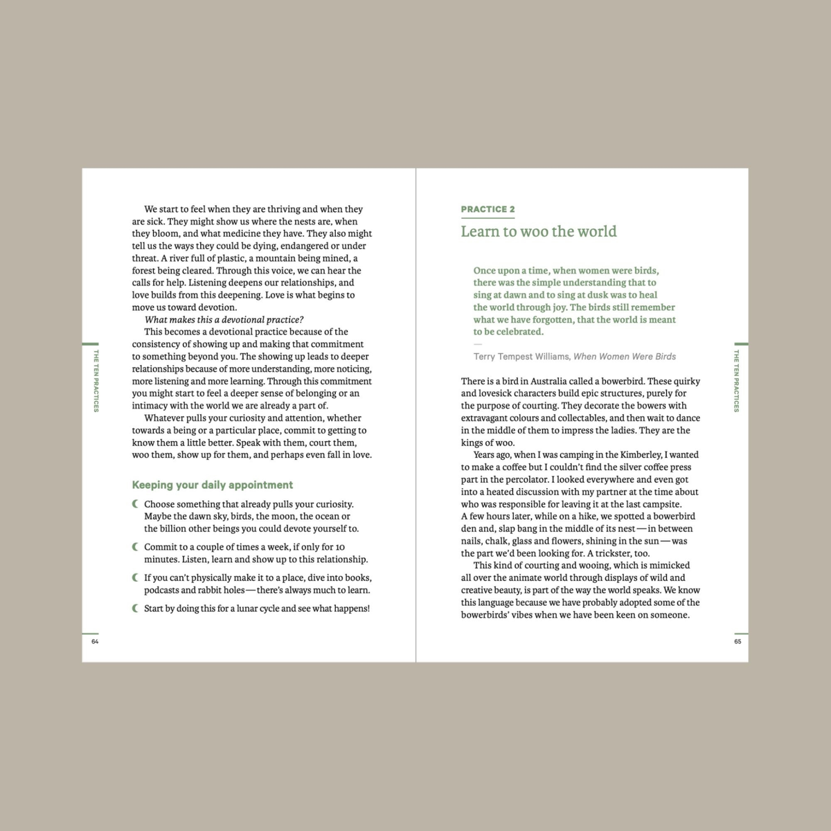 Do Wildness, Guide to Connecting with the Natural World: Paperback