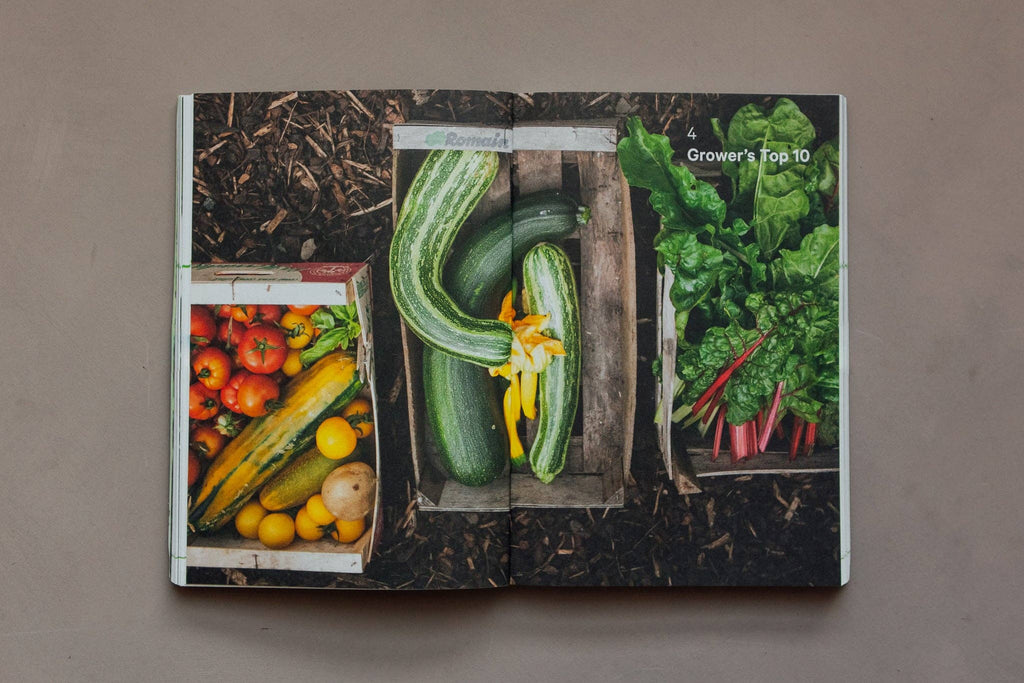 Do Grow, Guide to Growing Vegetables : Paperback
