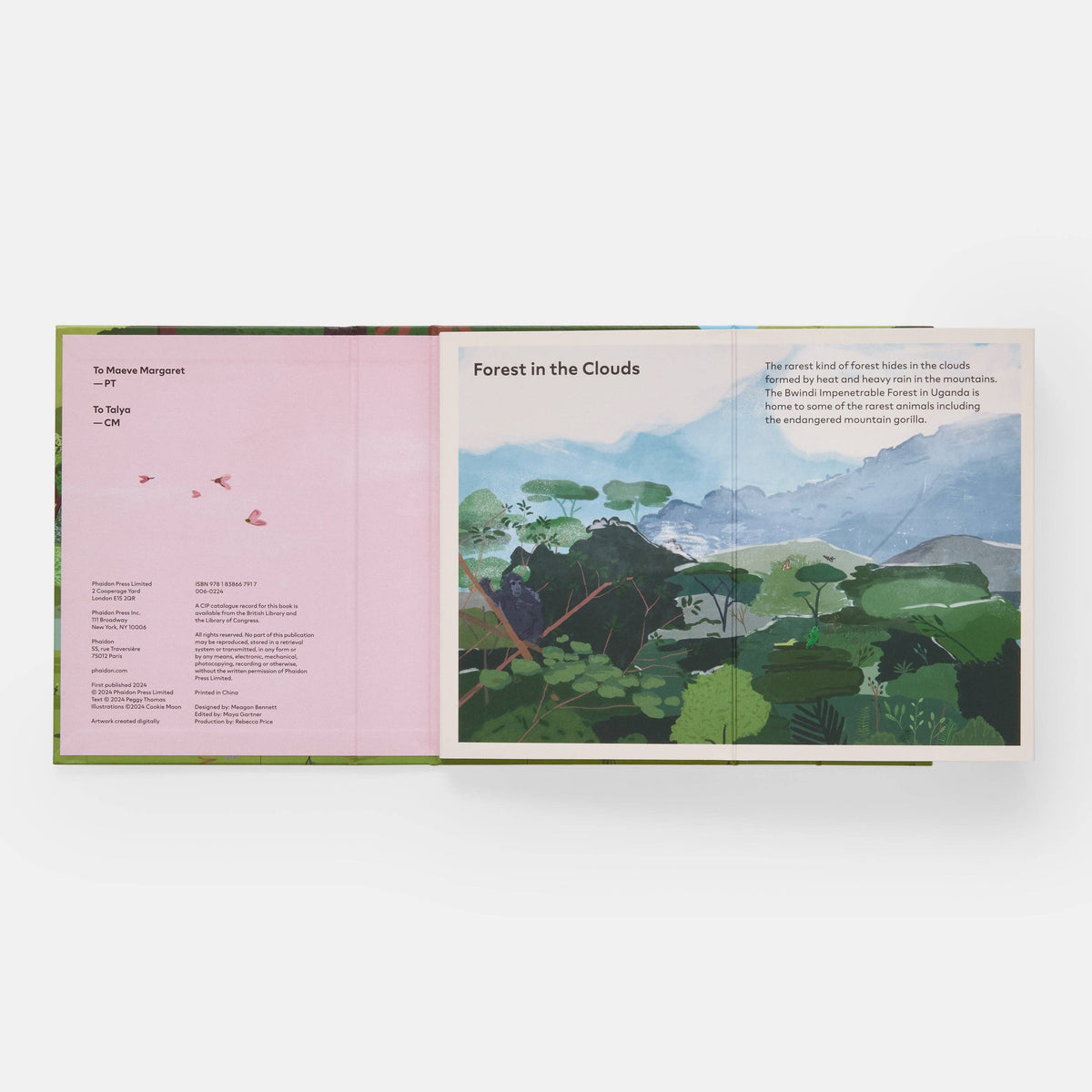 A Family of Trees: My First Book of Forests