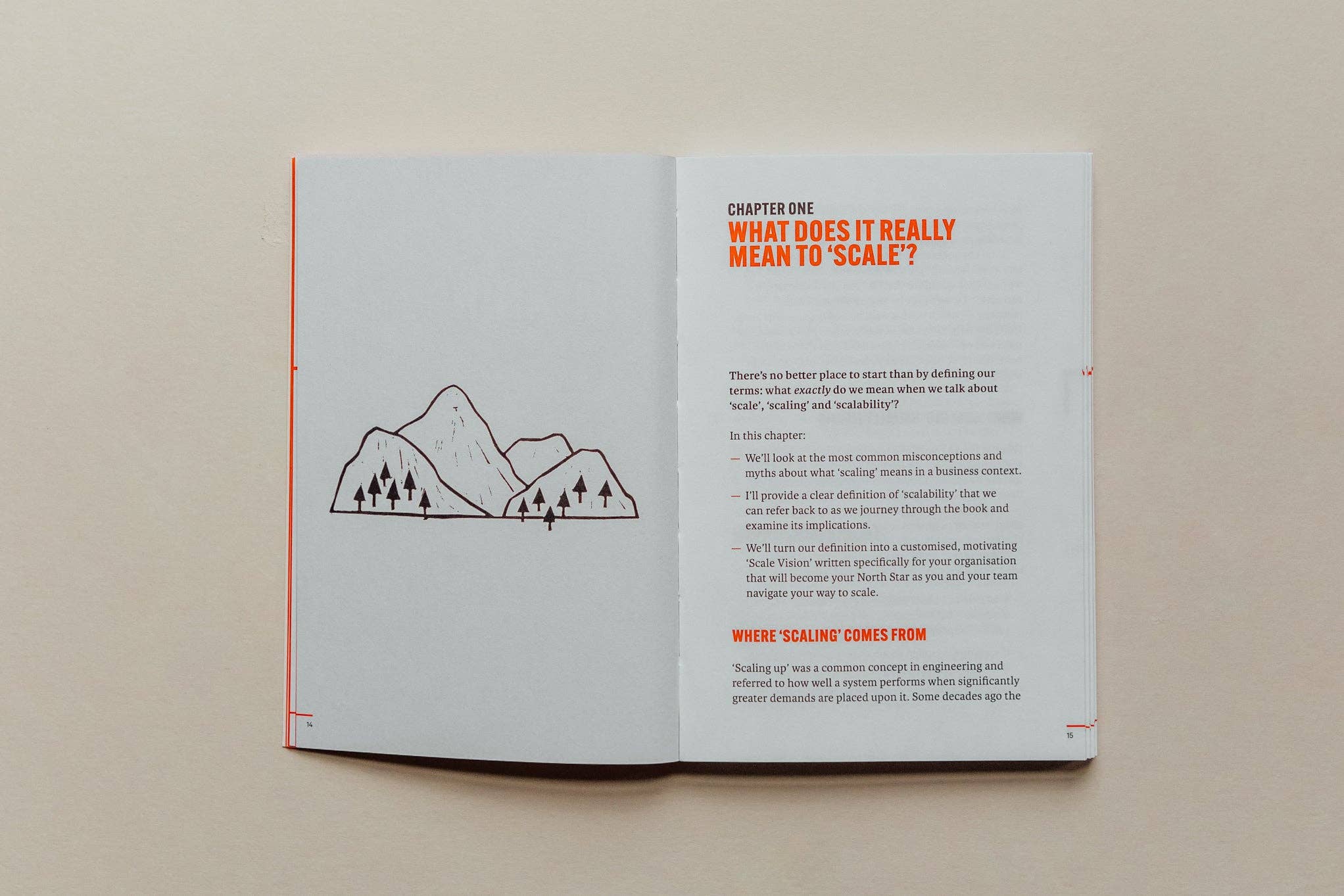 Do Scale, Guide to Growing Your Business: Paperback