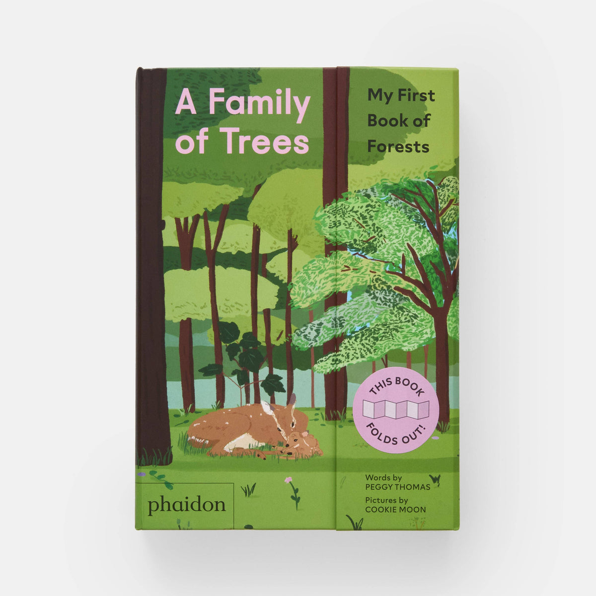 A Family of Trees: My First Book of Forests