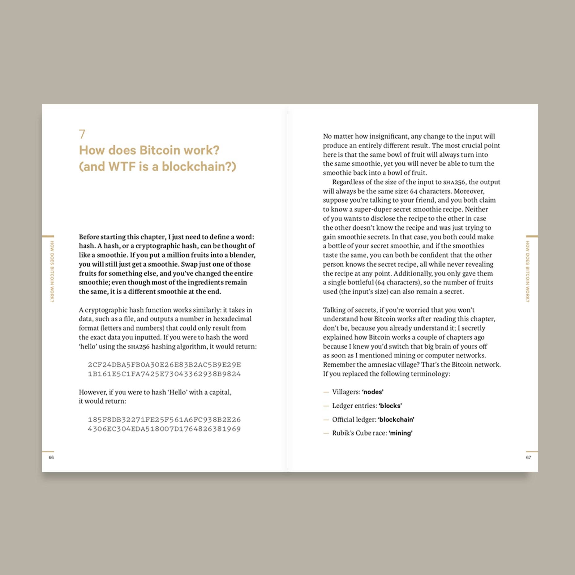 Do Bitcoin Book, Guide to Digital Money: Paperback