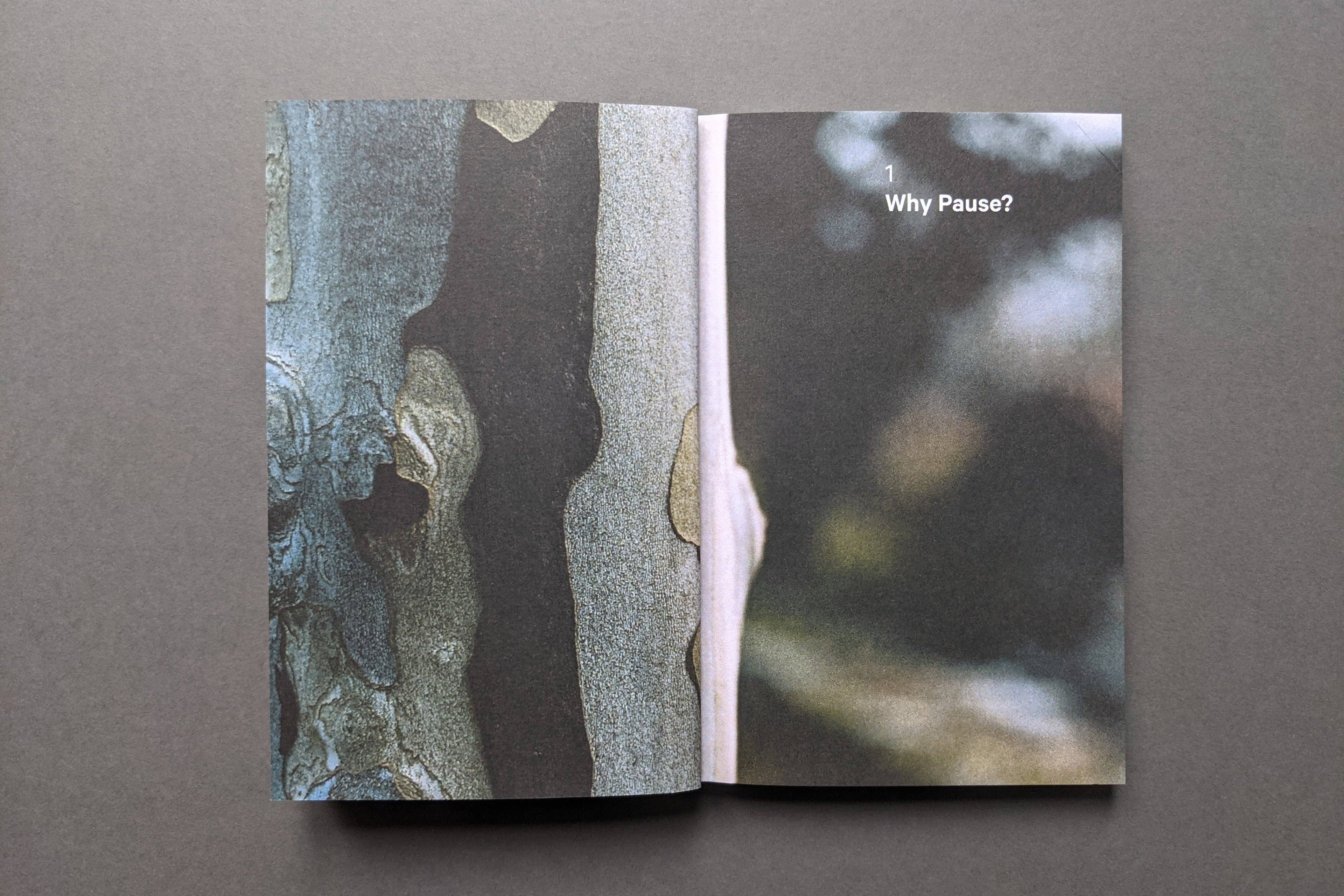 Do Pause, The Restorative Guide: Paperback
