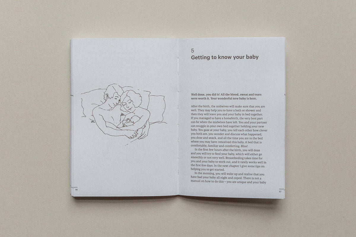 Do Birth Book, Guide to Having a Baby: Paperback