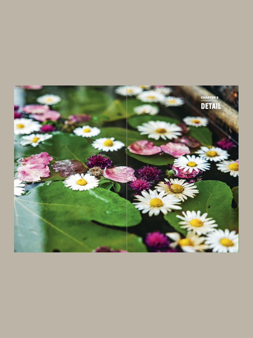 Do Curate, Guide to Summer Hosting: Paperback