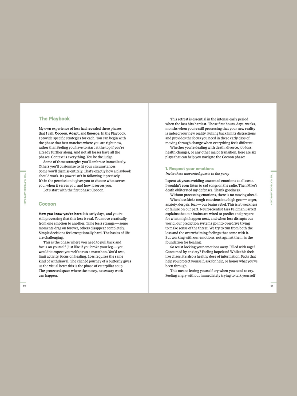 Do Loss, Guide to Navigating Change: Paperback