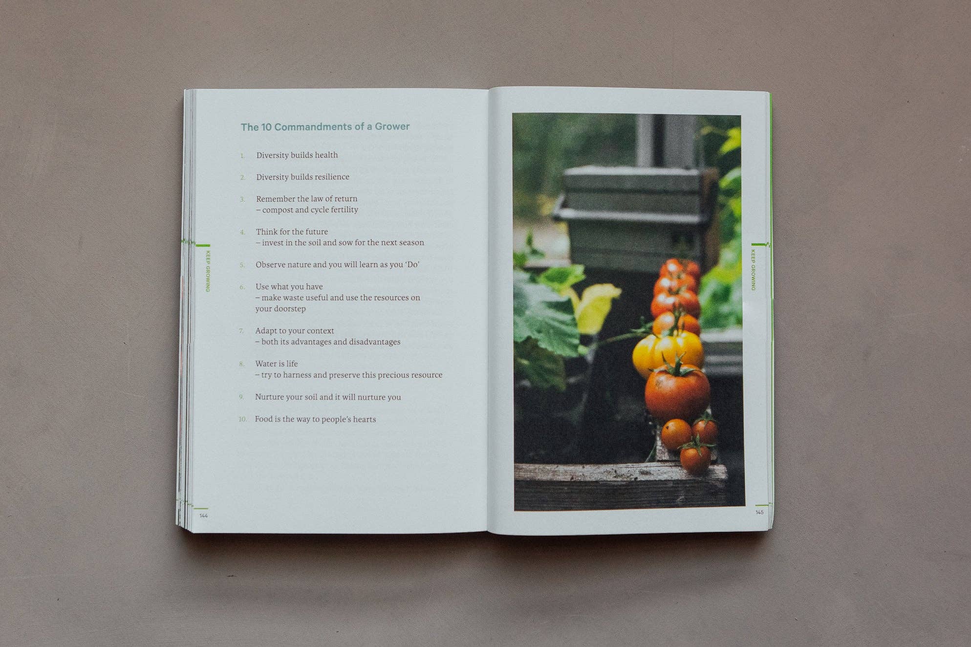 Do Grow, Guide to Growing Vegetables : Paperback