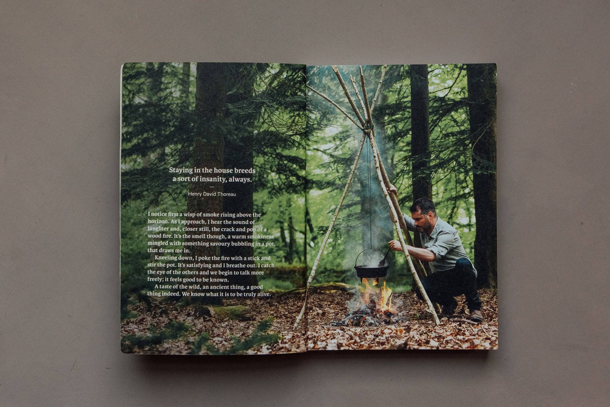 Do Wild Baking, Guide to Campfire Cooking & Adventurous Eats: Paperback