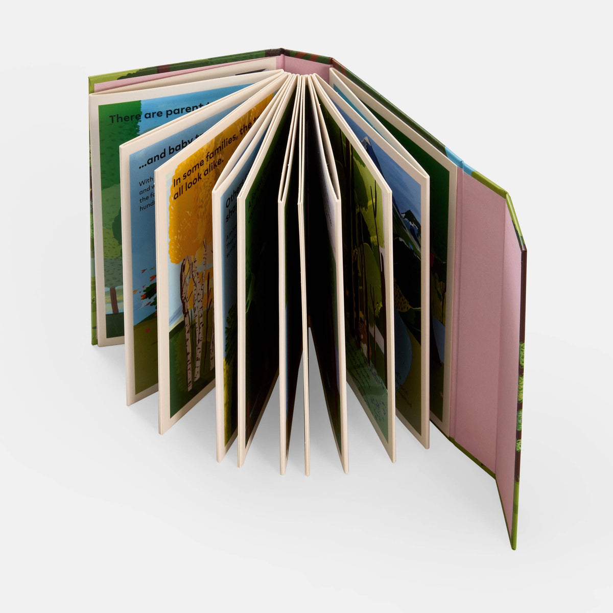 A Family of Trees: My First Book of Forests
