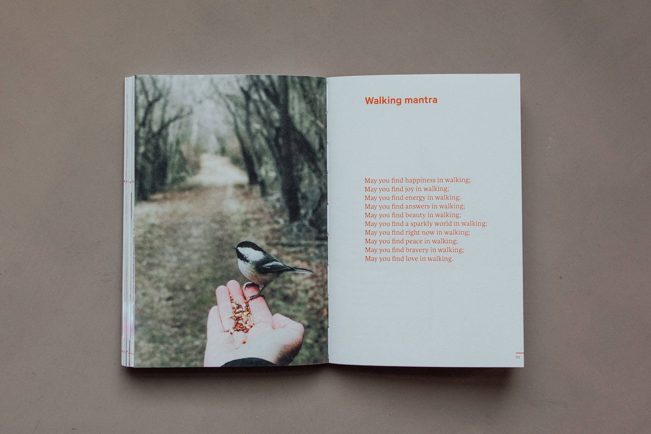 Do Walk Book, Guide for Mindful Walkers: Paperback
